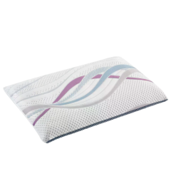 Dorelan Re:Generation Pillow