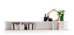 Molteni D.355.1 Bookcase