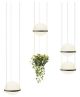lampada da sospensione palma vibia