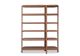 Saba Anam Bookcase